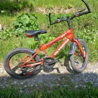 دچرخه کوهستانی المپیا