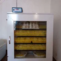 دستگاه جوجه کشی ۳۳۶ تایی هما