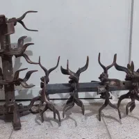 تیغ زعفران شوری