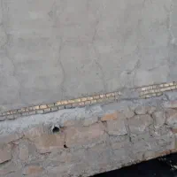 شادگان