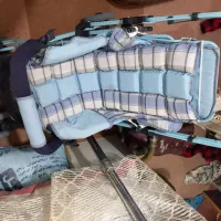 کالسکه سالم