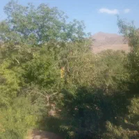 1100 متر باغ فردو تهاتر