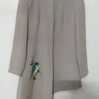 مانتو مجلسی در حد نو|لباس|اصفهان, سروستان|دیوار