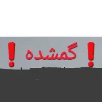 ۴کبوتر گمشده