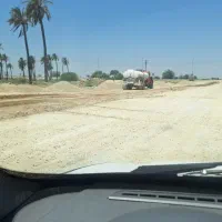 کوی نخلستان زمین
