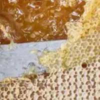 عسل صددرصد طبیعی