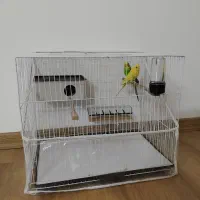 یک جفت مرغ عشق با قفس و لوازم