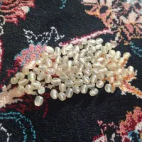 تسبیح شاه مقصود