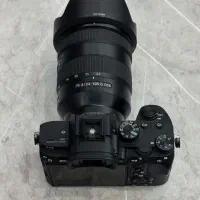 دوربین سونی a7 III + لنز سونی 105-24|دوربین عکاسی و فیلم‌برداری|نجف‌آباد, شریعتی غربی|دیوار