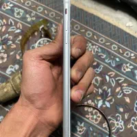 آیفون 7 پلاس|موبایل|اصفهان, ملک‌شهر|دیوار