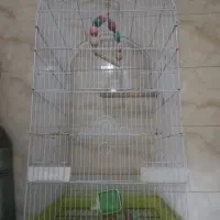 قفس|لوازم جانبی حیوانات|تهران, جوادیه|دیوار