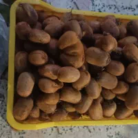 پرتقال خونی ونارنج و کیوی|خوردنی و آشامیدنی|قائم‌شهر, |دیوار