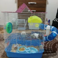 یک جفت همستر با قفس