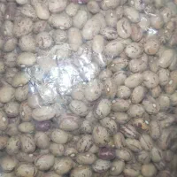 لوبیا ، نخود،  لپه ، عدس ، گندم|خوردنی و آشامیدنی|کرج, مصباح|دیوار