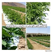 نایلون مالچ مناسب گلخانه و کشاورزی مدرن|خدمات باغبانی و درختکاری|سبزوار, امیر کبیر|دیوار