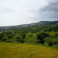 فرصتی مناسب برای سرمایه گذاری( زمین باغی بهشهر)|فروش زمین و ملک کلنگی|بهشهر, |دیوار