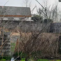 فروش زمین روستای لب دریا
