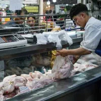 استخدام قطعه بندی کار در مرغفروشی