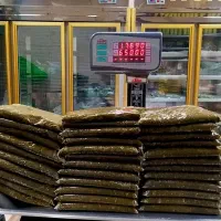 قورمه سبزی سرخ شده|خوردنی و آشامیدنی|تهران, مختاری|دیوار