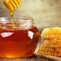 زنبور با کندو