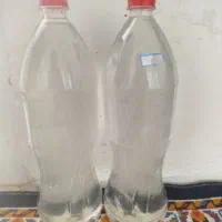 عرق نعناع