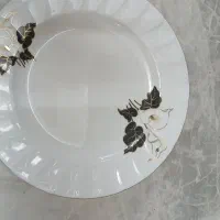 ظروف چینی اصل زرین وکیوم وکارتن|ظروف سرو و پذیرایی|تهران, وحیدیه|دیوار