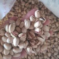 مرکزتولیدوخریدوفروش پسته ومغزفیض آبادمه ولات|خوردنی و آشامیدنی|مه ولات, |دیوار