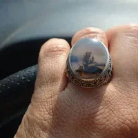 شجر کلکسیونی|جواهرات|تهران, جوادیه|دیوار