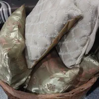 تعدادی کوسن