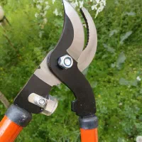 قیچی شاخه زن دسته تلسکوپی