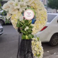 گل آرایی ماشین عروس  وگل آرایی جشن ها|خدمات پذیرایی، مراسم|رشت, رشتیان|دیوار