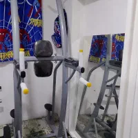 دستگاه شکم خلبانی .پارایل.بارفیکس