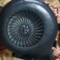 فن حلزونی