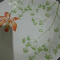 ظروف ارکوپال