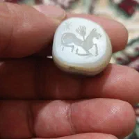 نشان بهبهانم|بدلیجات|دهدشت, |دیوار