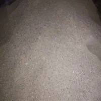 ماسه