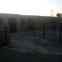 اجاره گاوداری