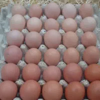 منبع انرژی