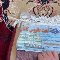 فرش ۱۲متری|فرش|چالوس, |دیوار