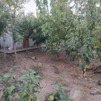 باغ ویلا درروستای کلاکوب|فروش خانه و ویلا|مشهد, کلاکوب|دیوار