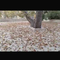 عظیمیه ویلایی۱۰۰۰متر/لاکچری ترین منطقه عظیمیه