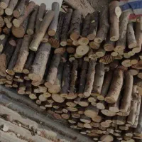 هیزم و چوب خشک مخصوص کباب و کمپ