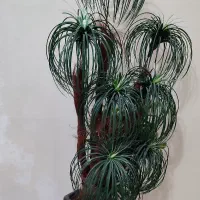 درختچه نخل مصنوعی