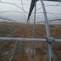 فروش اسکله گلخانه