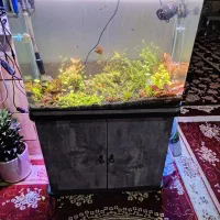 اکواریوم شرکتی شیشه خم