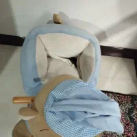 راکر و صندلی خرسی سیسمونی|اسباب و اثاث بچه|زاهدان, |دیوار