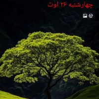 سیم کارت دائمی قدیم 0918373 سند دار