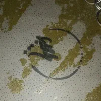 دف حبیبی نو|سازهای سنتی|دزفول, |دیوار