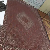 ۶متری|فرش|زنجان, |دیوار