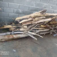 فروش چوب درخت
